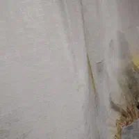 پرده چاپی جنس درجه یک مخمل|پرده، رانر، رومیزی|تهران, شکوفه (عبدل آباد)|دیوار