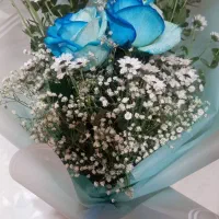 یک باکس چوبی گل طبیعی، و یک دسته گل طبیعی آبی|گل و گیاه طبیعی|مشهد, نیروی هوایی|دیوار