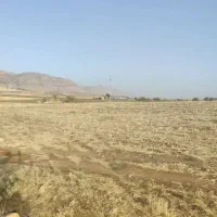 زمین کشاورزی سرمیل مناسب برای اشتغال زایی|فروش دفتر صنعتی، کشاورزی، تجاری|سرپل ذهاب, |دیوار