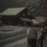 گوشی آیفون16پرومکس هایی کپی