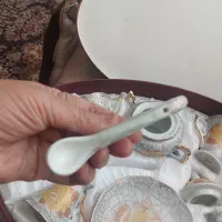 سروریس چای یا قهوه خوری زیبا و یک گلدان زیبا|ظروف سرو و پذیرایی|شاهین‌شهر, نسیم ۵|دیوار
