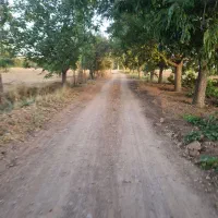 باغ گردو استان قزوین شهرک ضیاباد ۱۱۰۰ متر|فروش دفتر صنعتی، کشاورزی، تجاری|ضیاء آباد, |دیوار