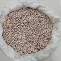 لوبیا چیتی|عمده‌فروشی|مریوان, |دیوار