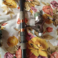 لنسر ماهیگیری|ماهیگیری|گرگان, |دیوار