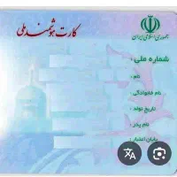 گمشده به نام علی فرهادی یونکی