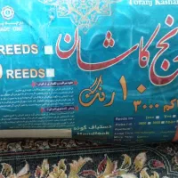 فرش دوازده متری هفتصد شانه کاشان در حد نو|فرش|بابل, |دیوار
