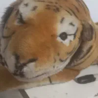 ببربزرگ وزیبا