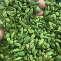 زعفران پودر زعفران هل زرشک|خوردنی و آشامیدنی|مشهد, گلبرگ|دیوار