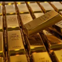 هدیه 300تومنی میلی گلد