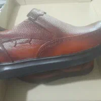 کفش و کتانی|کیف، کفش، کمربند|اسلام‌شهر, چیچکلو|دیوار