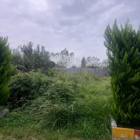 225-متر-زمین-مسکونی-سند-ششدانگ