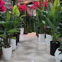 درخت و درختچه های مصنوعی کاشان