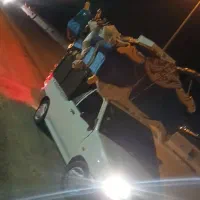 حمل بار از تهران به کوهدشت و زیرتنگ|خدمات حمل و نقل|کوهدشت, |دیوار