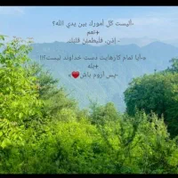 سلام یه کاروان کربلا معرفی کنید
