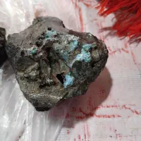 مخصوص کلکسیون