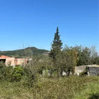 فروش زمین جنگلی داخل بافت ۲۵۹ متری در بابلکنار|فروش زمین و ملک کلنگی|مرزیکلا, |دیوار