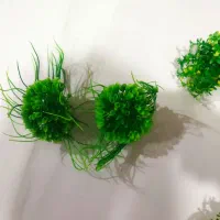 گیاه مصنوعی اکواریوم|ماهی|مشهد, چهارچشمه|دیوار