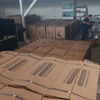 دستگاه جوجه کشی ققنوس