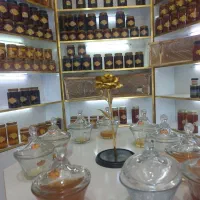 فروشنده خانم