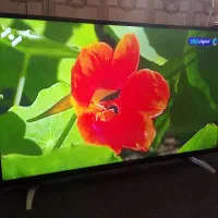 تلویزیون ایکس ویژن 43اینچ