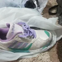 کتونی|کیف، کفش، کمربند|رشت, دیلمان|دیوار