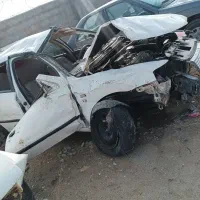 سمند تصادفی