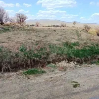 زمین-باغی-با-کاربری-کساورزی