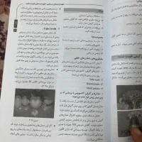 چاپ برگه  پشت و رو ۱۵۰۰ تومن|خدمات رایانه‌ای و موبایل|تهران, نیروی هوایی (پیروزی)|دیوار