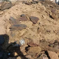 فروش و جابهجایی کود حیوانی گاوی بنز ده تن و نیسان|خدمات باغبانی و درختکاری|بم, |دیوار