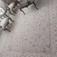 فرش ماشینی|فرش|زنجان, |دیوار