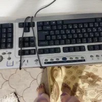 یک عدد