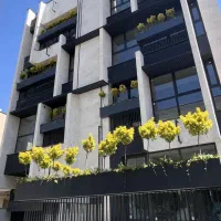 طراحی و اجرای تخصصی نمای ساختمان