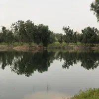 زمین ۱۱۳۰ متری چاه ماری