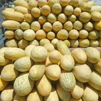 جهت خرید میوه برای آشپزخانه ها و رستوران تالار|خوردنی و آشامیدنی|سبزوار, میدان بار|دیوار