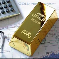 یک قطعه طلا پیدا شده