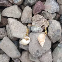 زیور آلات|زیورآلات و اکسسوری|آستانه اشرفیه, |دیوار