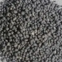 کودریشه ای چندین نوع|خدمات باغبانی و درختکاری|خرمآباد, |دیوار