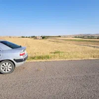 زمین ۶۴۵۰متر بر جاده اصلی|فروش دفتر صنعتی، کشاورزی، تجاری|ثمرین, |دیوار