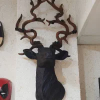 فایبر گلس