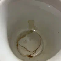 فال و سرکتاب