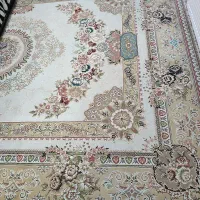 فرش نگین مشهد|فرش|زنجان, |دیوار