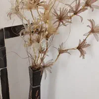 گل وگلدان سالم