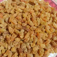کشمش درجه یک|خوردنی و آشامیدنی|شیراز, دروازه اصفهان|دیوار