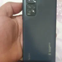 کفتر صرب خوب