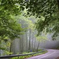 همسفر برای شمال