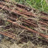 فروش آهن|مصالح و تجهیزات ساختمان|خوشرودپی, |دیوار