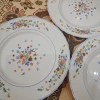 ظروف ارکوپال ویکتوریا فرانسه