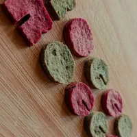 غذای خشک خاص برای سگ و گربه