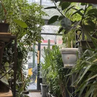 استخدام نیروی کار