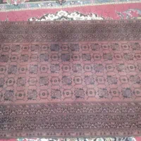 قلی دستباف|فرش|زاهدان, |دیوار